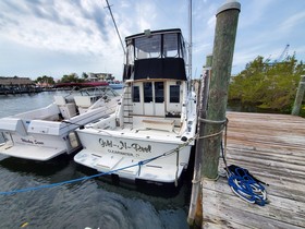 1977 Bertram 42 Motor Yacht