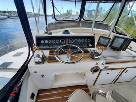 1977 Bertram 42 Motor Yacht