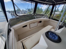 1977 Bertram 42 Motor Yacht till salu