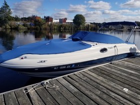 Koupit 2004 Sea Ray 240 Sundeck