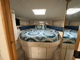 1997 Sea Ray 370 Express Cruiser for sale