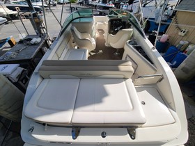 2013 Sea Ray 240 Sundeck на продаж