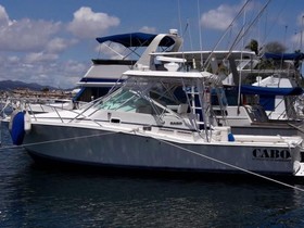 Acquistare 1997 Cabo 31 Express