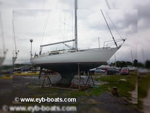 Seeker 31