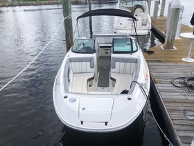 Sea Ray 240 Sundeck