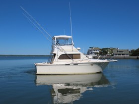 1985 Egg Harbor 33 Convertible for sale