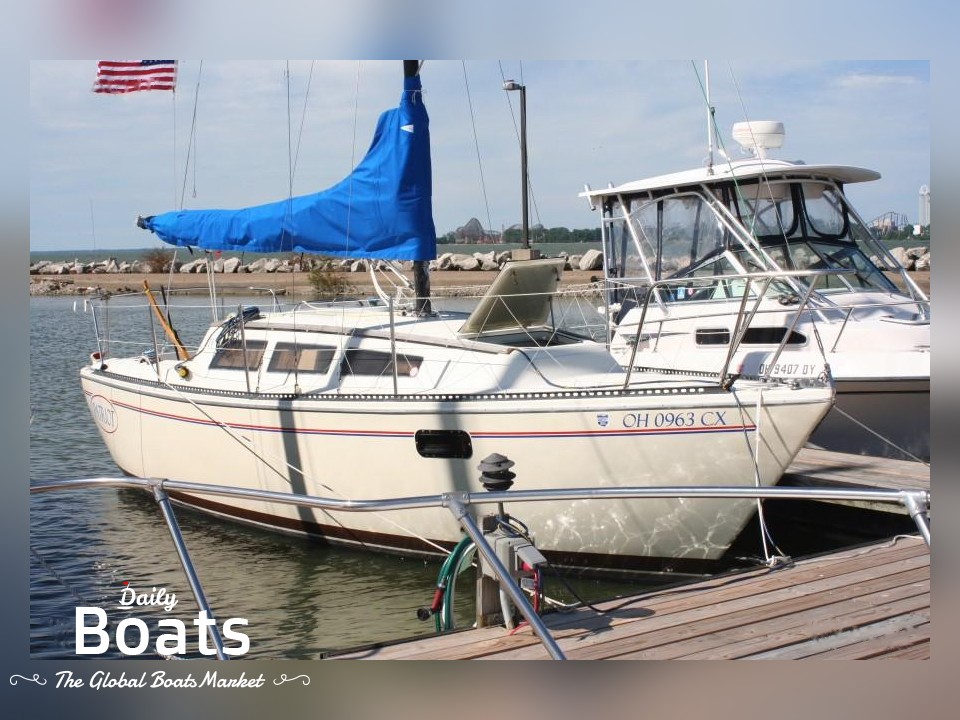 1981 S2 8.0 for sale. View price, photos and Buy 1981 S2 8.0 #317003