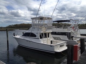 Luhrs 350 Tournament