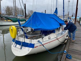1988 Yankee 30 for sale