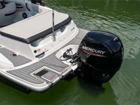 Buy 2016 Sea Ray 19 Spx Outboard