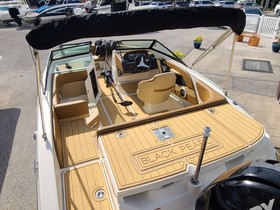 2016 Sea Ray 19 Spx Outboard satın almak