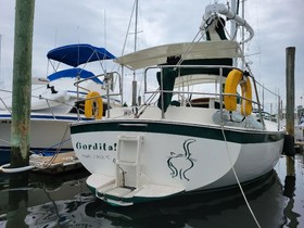 1980 Nonsuch 30 Classic for sale