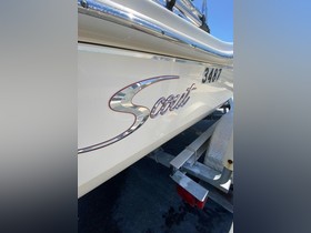 2018 Scout 175 Sportfish kaufen