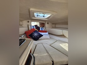 Купити 2008 Sea Ray 240 Sundancer