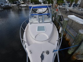 Cobia 236 Walkaround