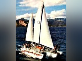 1968 Custom Hedley Nicol Trimaran Voyager til salg