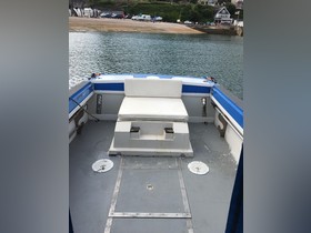 1981 Wellcraft 248 Offshore for sale