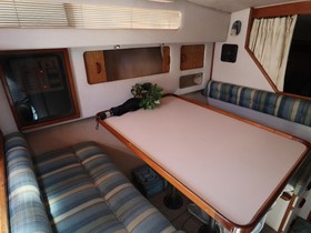 1989 Sea Ray Sundancer till salu