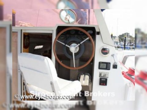 Buy Edel Strat Edel Cat 43 Edel Strat Edel Cat 43 For Sale