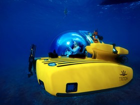 2018 Triton 1650/3Lp Submarine à vendre