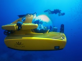 Купить 2018 Triton 1650/3Lp Submarine