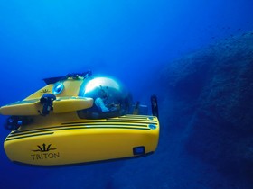 2018 Triton 1650/3Lp Submarine на продажу