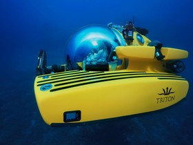 Купить 2018 Triton 1650/3Lp Submarine