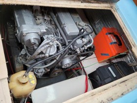 Koupit 1964 Bertram Express Cruiser