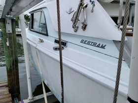 1964 Bertram Express Cruiser na prodej