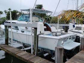 1964 Bertram Express Cruiser