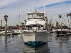 Bertram 42 Convertible