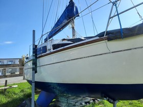 1981 Leisure 20 for sale