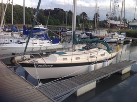 Buy 1995 Barbican 30