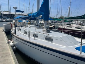 1983 Morgan 384 for sale