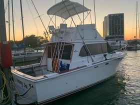 1983 Egg Harbor 33 Convertable zu verkaufen