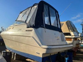 Buy 2020 Bahia Test