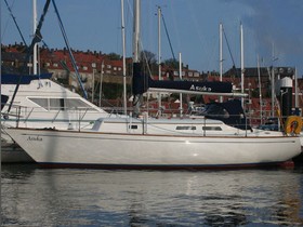 1980 Carter 30 for sale