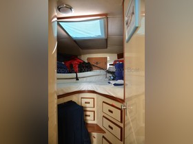 1985 Bertram 38 Special en venta