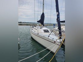 Canadian Sailcraft Cs30