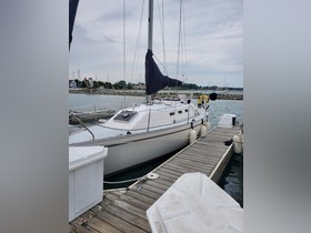 Buy 1984 Canadian Sailcraft Cs30