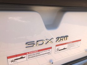 2019 Sea Ray Sdx 250 Outboard