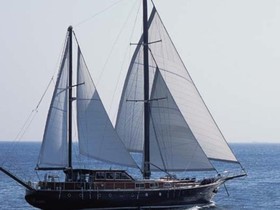 Custom 25M