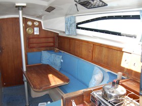 1979 Pegasus 800