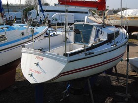 1979 Pegasus 800 til salg