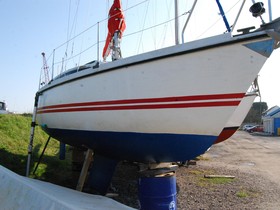 1979 Pegasus 800