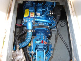 Købe 1979 Pegasus 800
