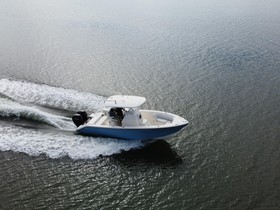 Cobia 262