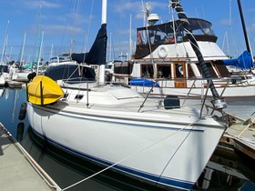 Catalina 36