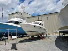 Viking Princess 38