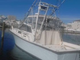 Rampage 31 Sportfish